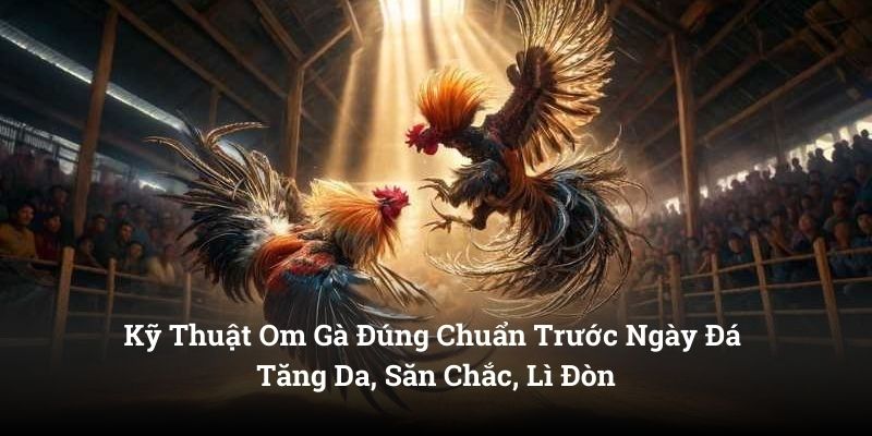 Kỹ Thuật Om Gà Đúng Chuẩn Trước Ngày Đá – Tăng Da, Săn Chắc, Lì Đòn